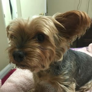 Meet your Posher, Mimi